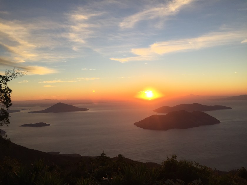 A65158F5-6A40-4500-8351-85720F2A5C6B